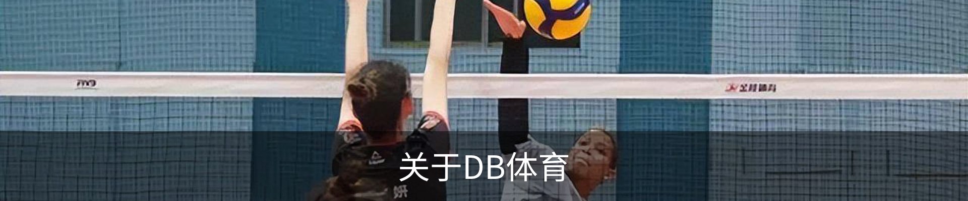 关于DB体育